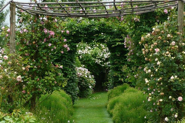 Styles de jardins Inspiration Jardin Sauvage