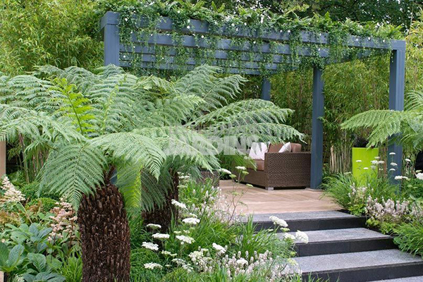 Styles de jardins Inspiration Jardin Sauvage