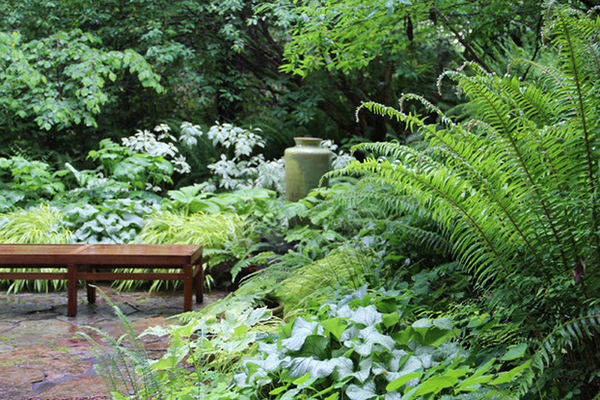 Styles de jardins Inspiration Jardin Sauvage