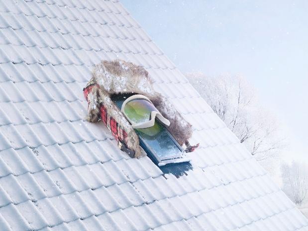 velux maisons partout