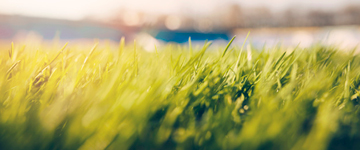 Les critères à ne pas négliger dans le prix d’un terrain !