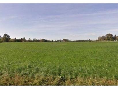 Terrain à vendre  à  Saint-Martin-de-Crau (13310)  - 225 000 € * : photo 1