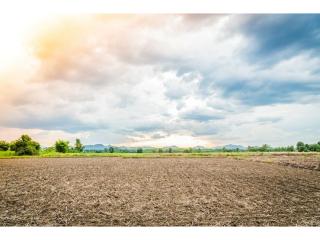 Terrain &agrave; b&acirc;tir &agrave; Chambourg-sur-Indre (37310)