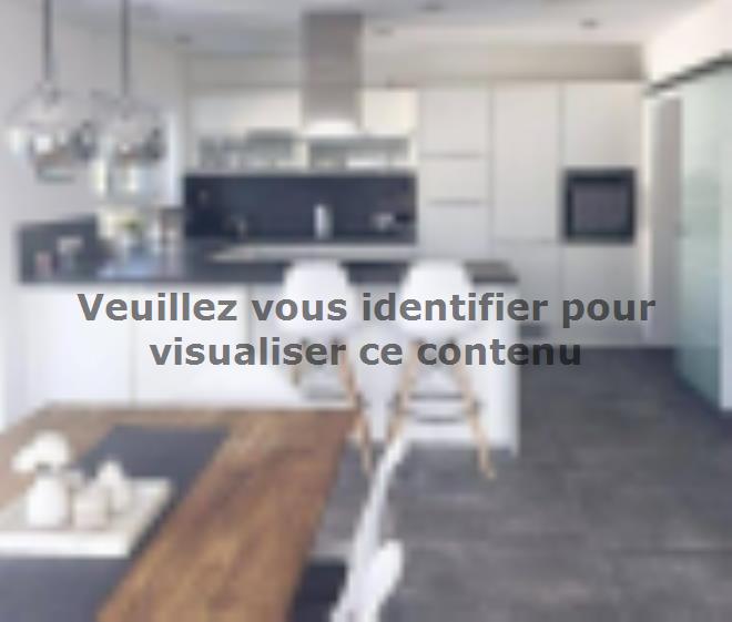 Maison neuve La Chapelle-Vendômoise 255 000 € * : vignette 2